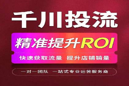 百度竞价代理全攻略：成功案例分享